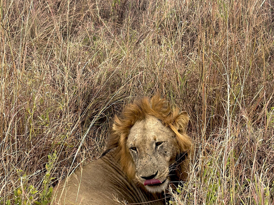 NICE ADVENTURE SAFARI-Dar es Salaam必去景点