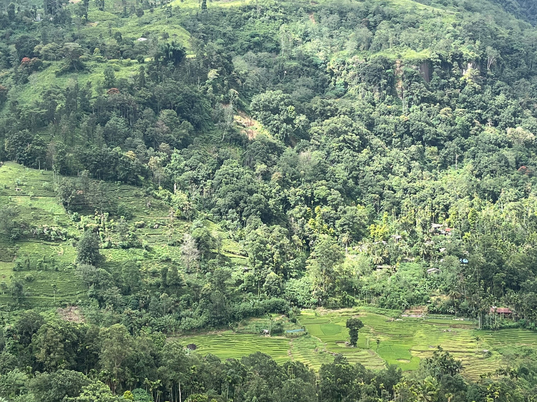 Mahaweli Tours & Holidays-尼甘布必去景点