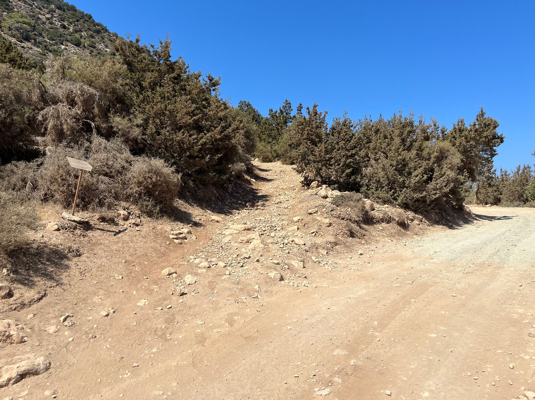 Aphrodite Trail-Latchi必去景点