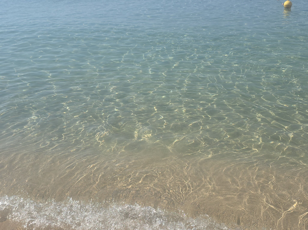 Costa del Salento - Cdshotels主图
