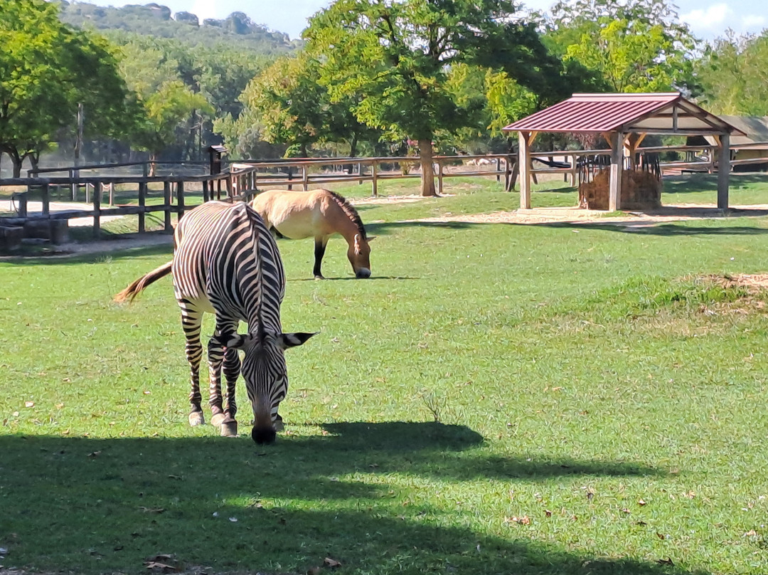 Leo Wild Park-托迪必去景点