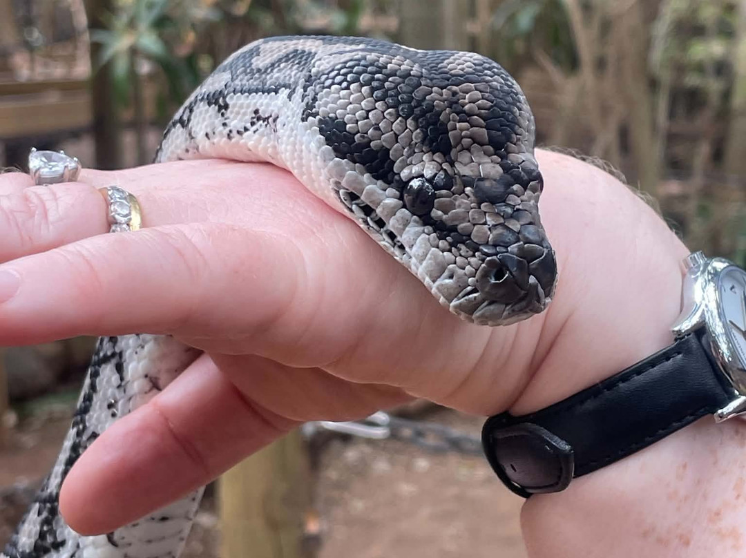 Cooberrie Park Wildlife Sanctuary-Yeppoon必去景点