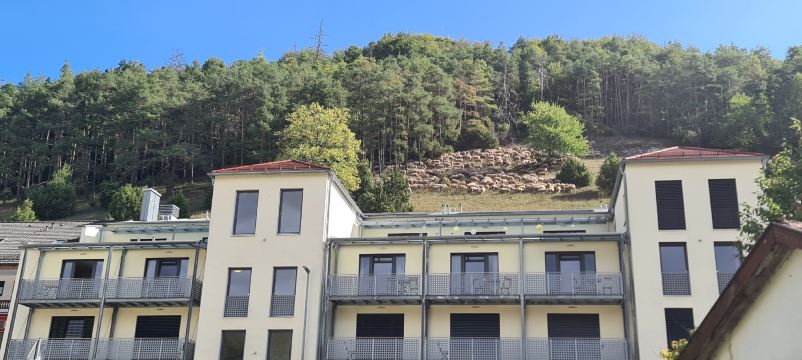 嘎斯霍夫嘿克尔酒店-旅行者