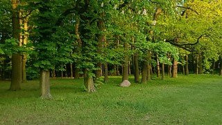 Spring of Nations Park-Kutno必去景点