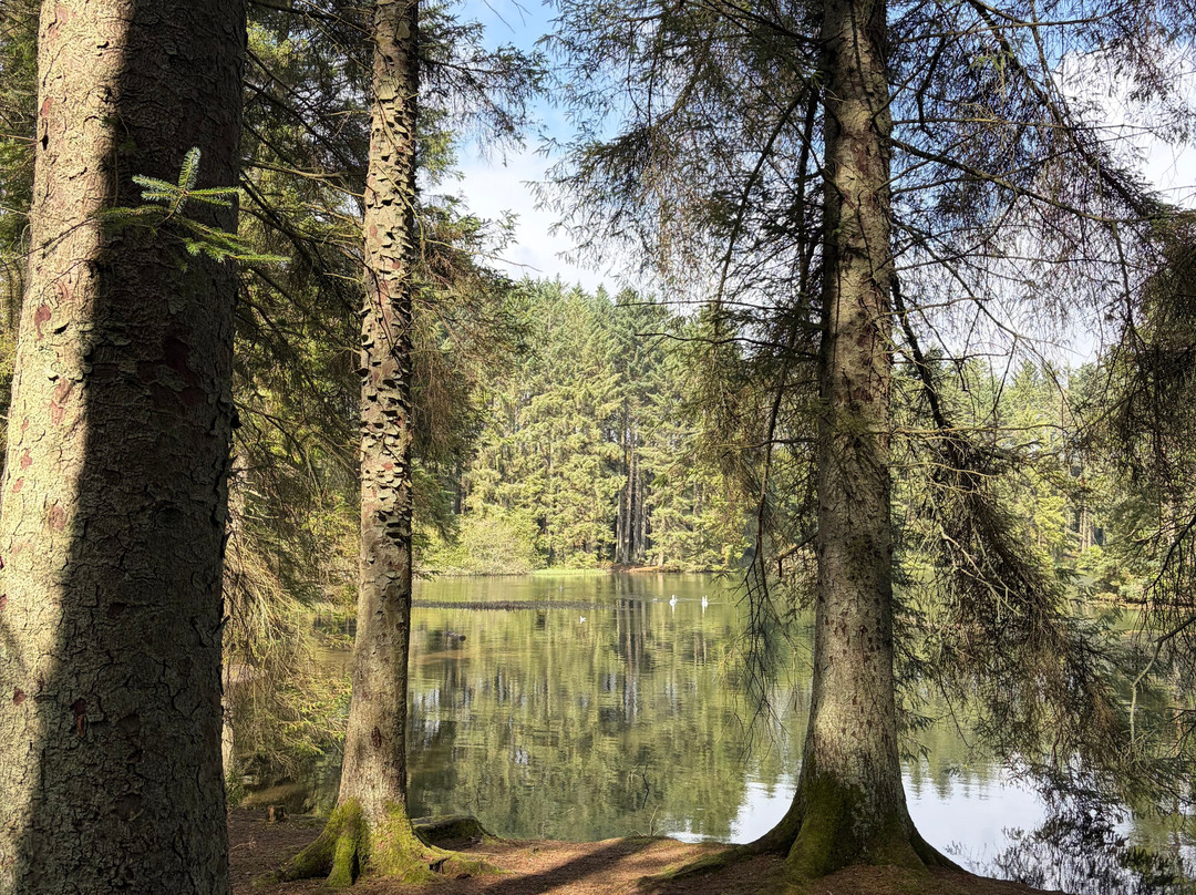 Beecraigs Country Park-林利斯戈必去景点