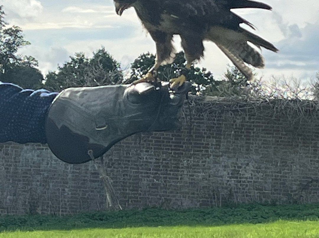 UK Owl And Raptor Centre-Groombridge必去景点