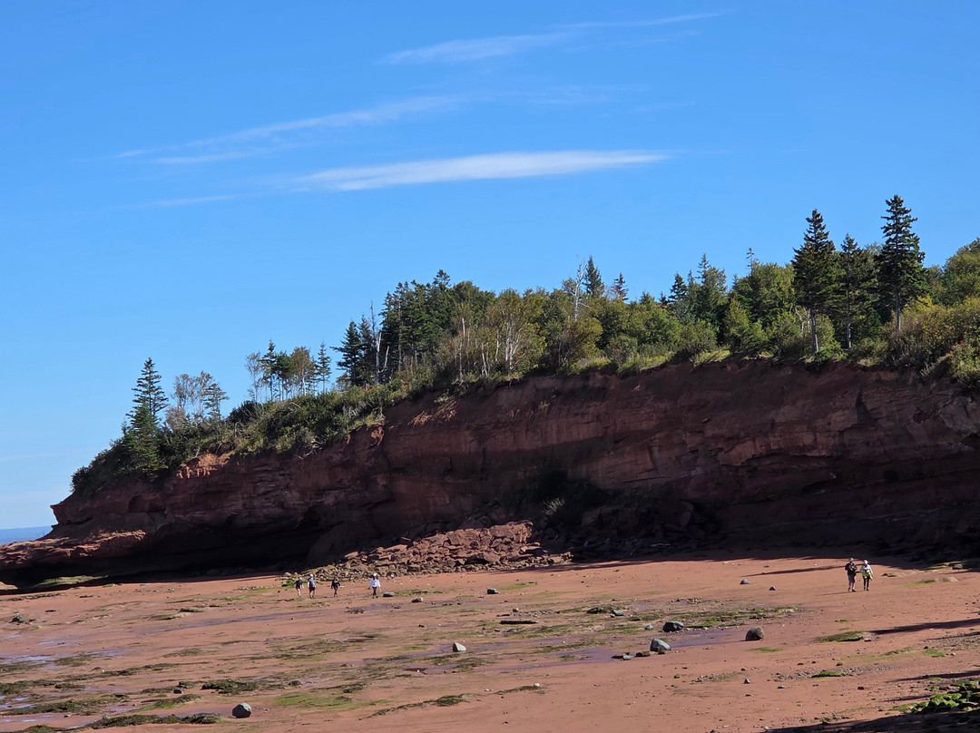 Burntcoat Head Park-Noel必去景点