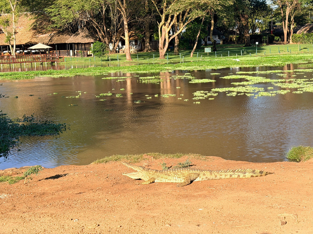 Cherish Africa Safaris-Kikuyu必去景点