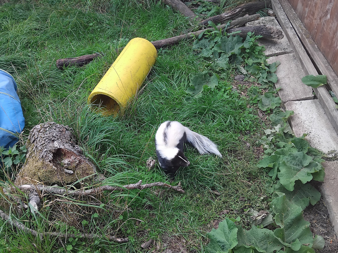 Ark Wildlife Park & Exotic Animal Sanctuary-Stickney必去景点