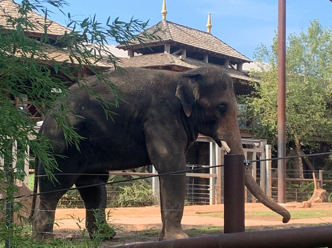 Oklahoma City Zoo and Botanical Garden-俄克拉何马城必去景点
