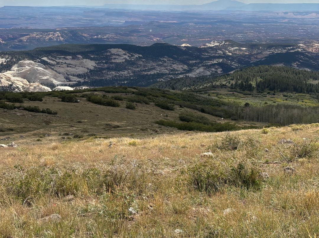 Dixie National Forest-锡达城必去景点