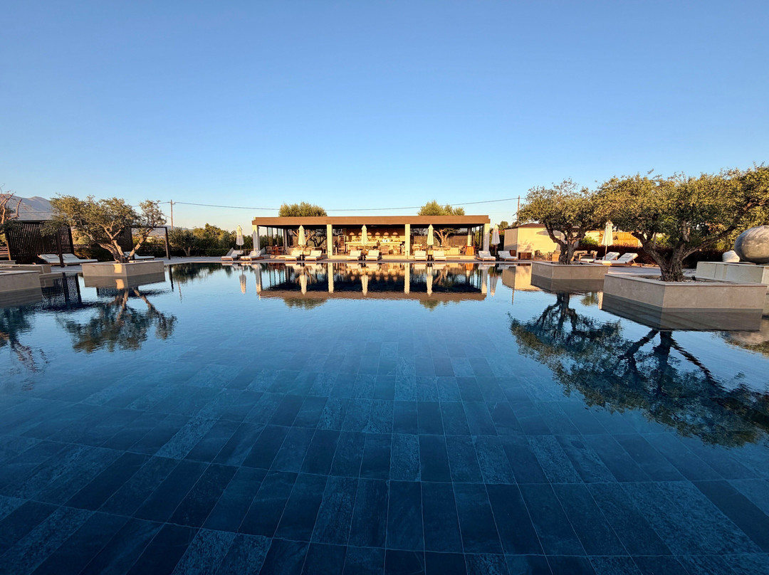 The Ritual, A Wellness Retreat