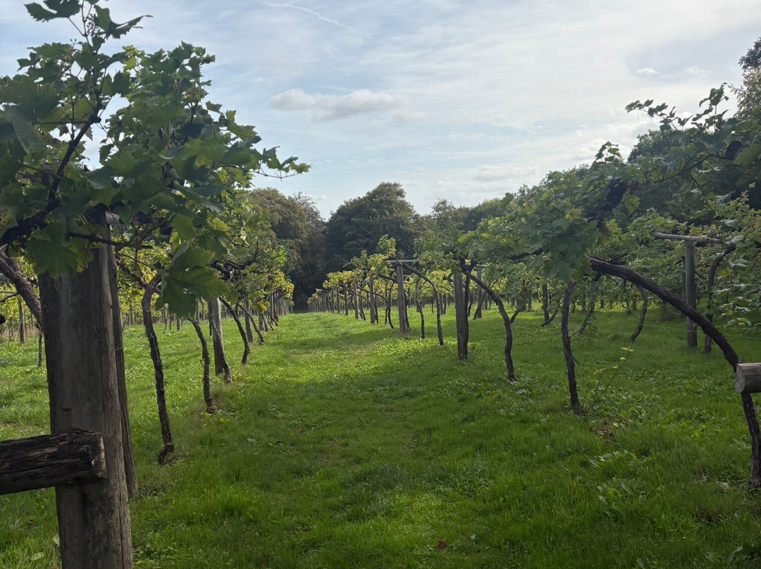 Chiltern Valley Winery & Brewery-泰晤士河畔亨利必去景点