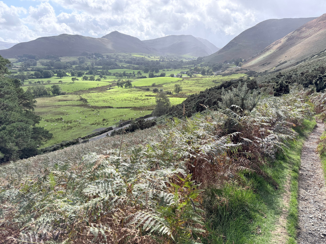 Derwent Bank主图