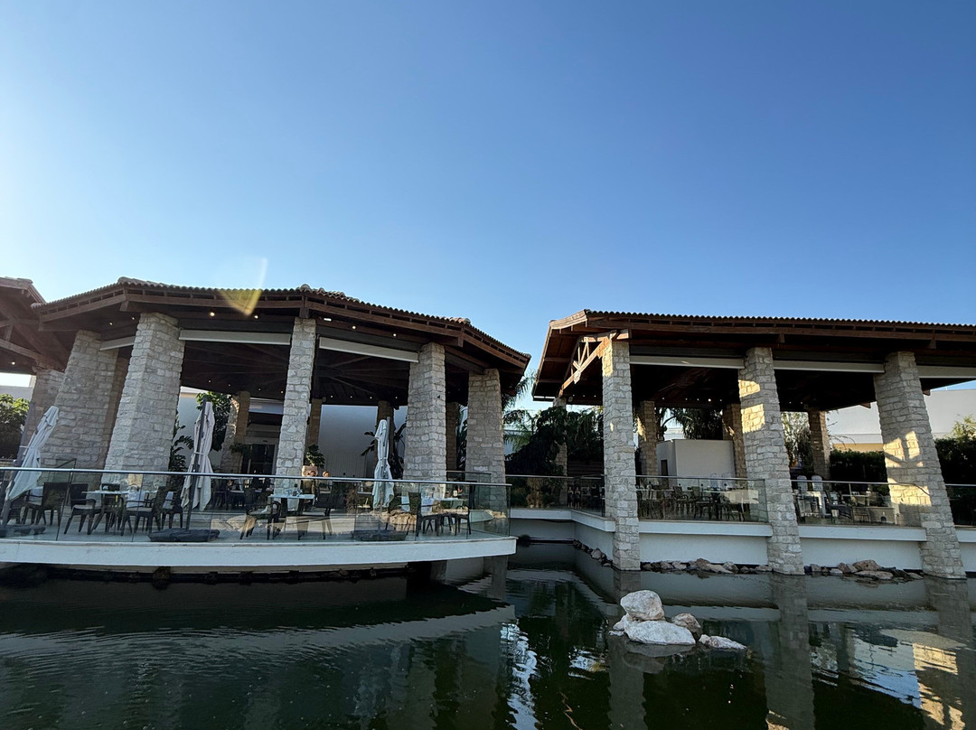 阿依纳帕奥林匹克泻湖酒店主图