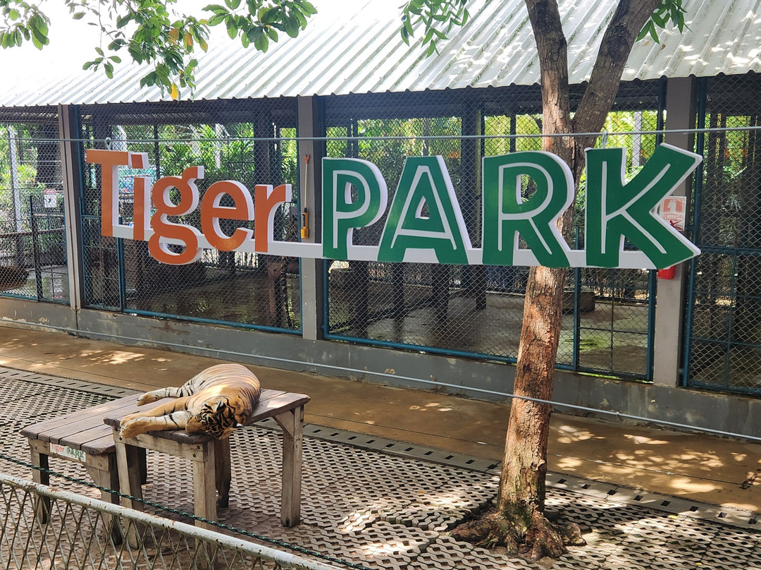 Tiger Park Pattaya-芭堤雅必去景点