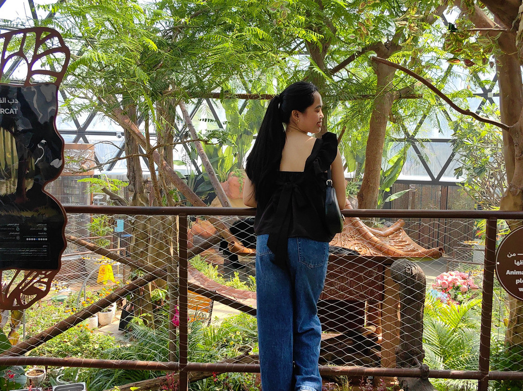 The Butterfly Gardens Abu Dhabi-阿布扎比必去景点
