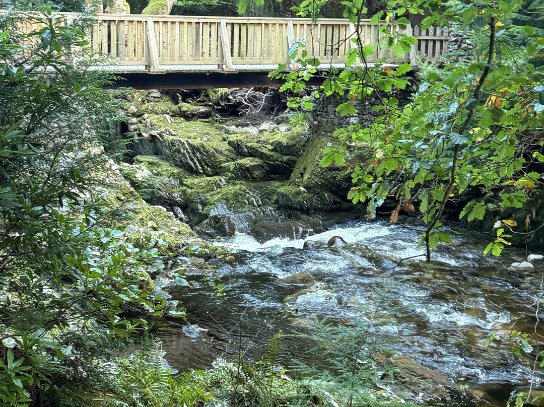 Tollymore Forest Park-纽卡斯尔必去景点