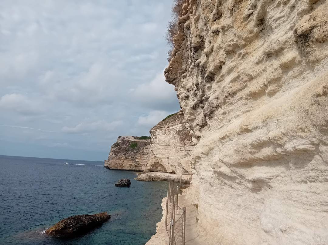 Ollandini Autocars de Tourisme-阿雅克肖必去景点