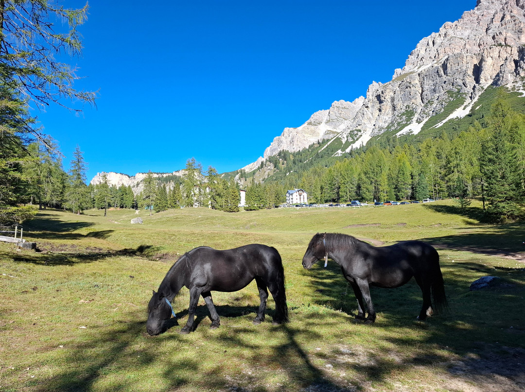 Lago di Sorapiss-科尔蒂纳丹佩佐必去景点