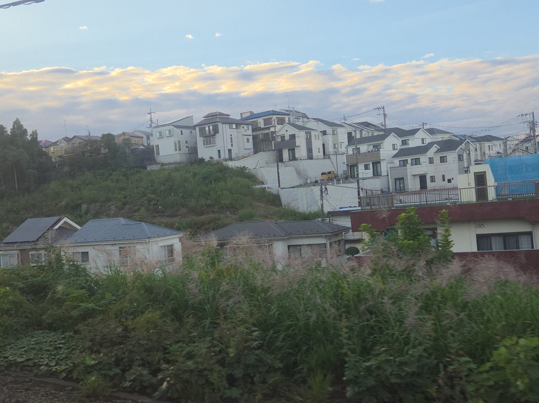 Odakyu Limited Express Romancecar-东京都必去景点