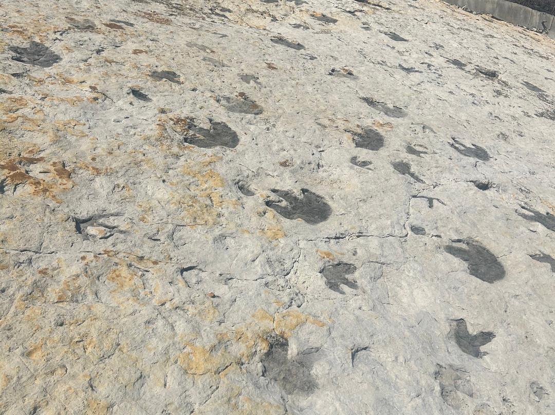 Dinosaur Ridge-Morrison必去景点