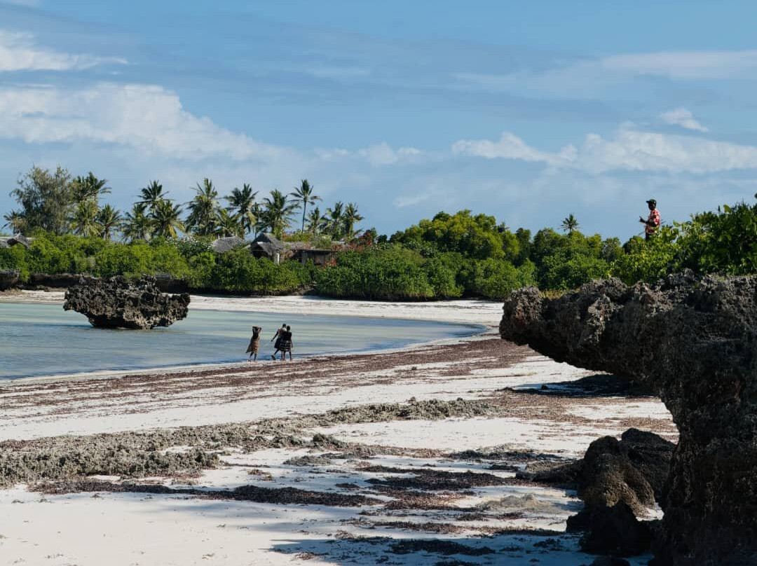 Watamu Beach-马林地必去景点