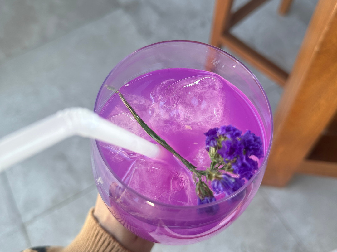 萨尔宫殿酒店主图