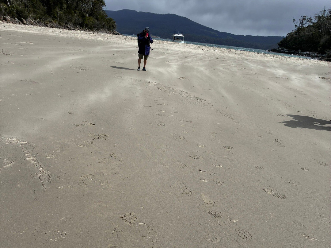 Three Capes Signature Walk by Tasmanian Walking Company-亚瑟港必去景点