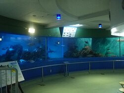 Wakkanai City Noshappu Aquarium-稚内市必去景点