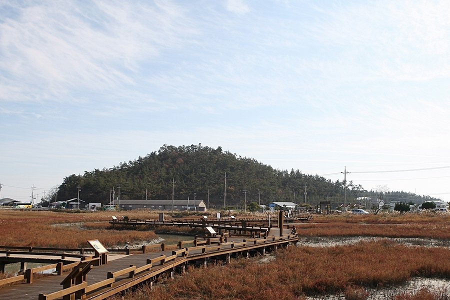 Taepyeong Yeomsaeng Botanical Garden-新安郡必去景点