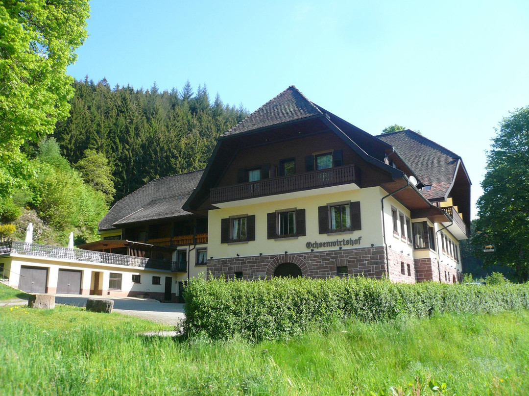 Bad Rippoldsau酒店住宿-Hotel Restaurant Ochsenwirtshof