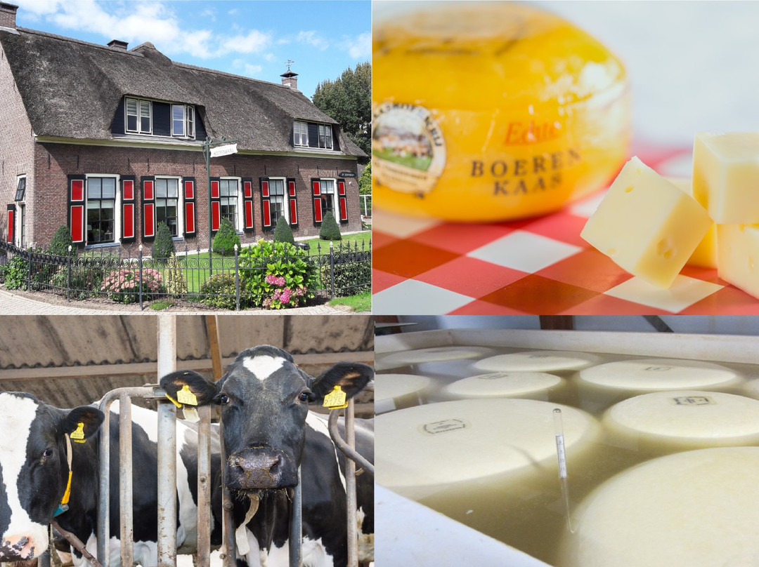 Langbroek旅游景点-Kaasboerderij De Ossenwaard