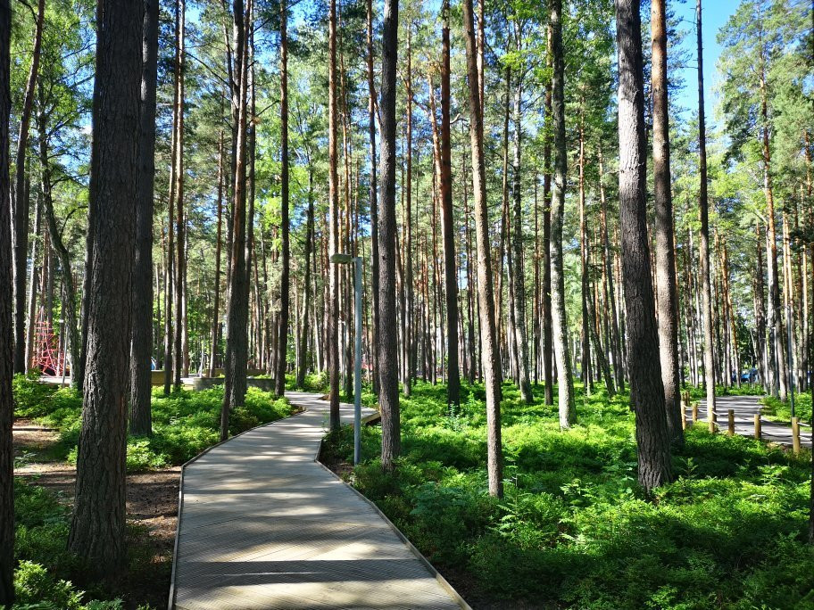 Dzintari Forest Park景点图片