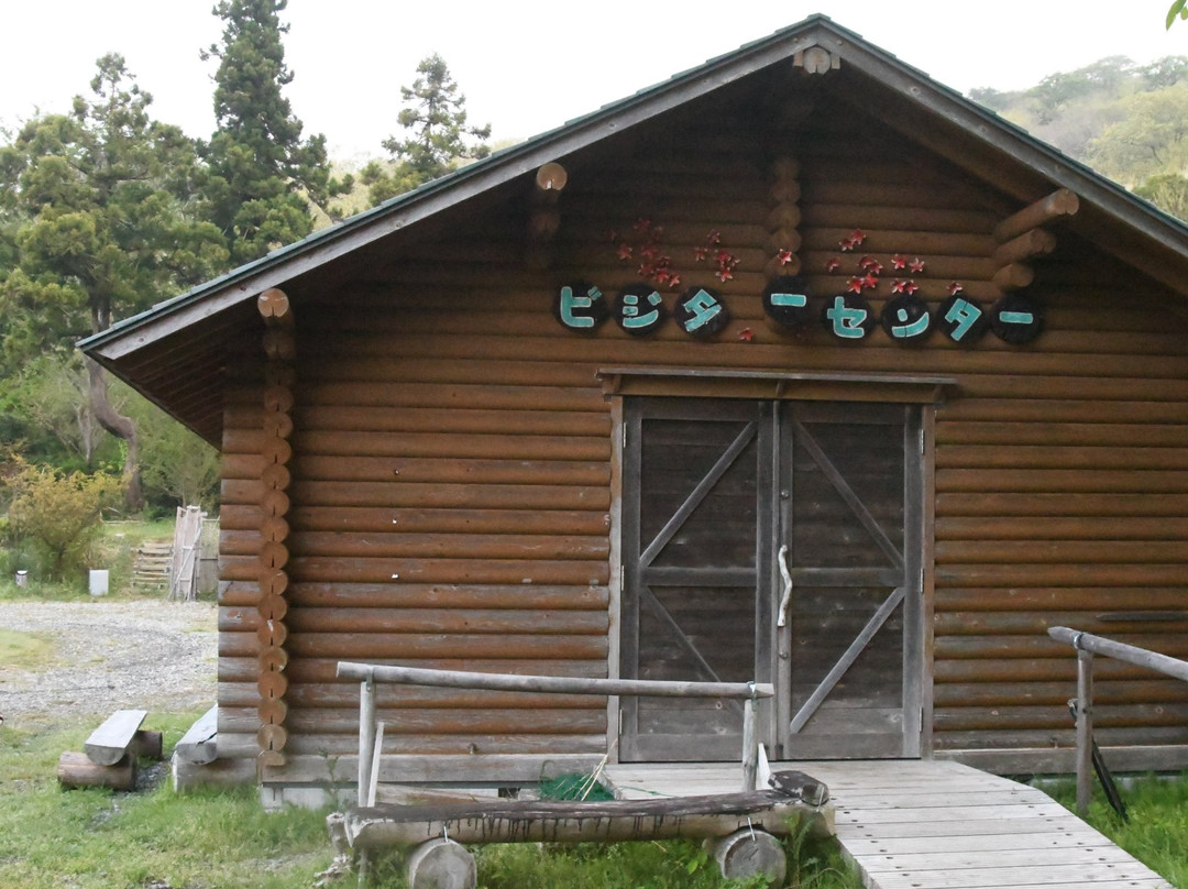 Chogaharayama Azelea park景点图片