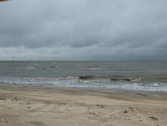 Rutherford Beach-Hackberry必去景点
