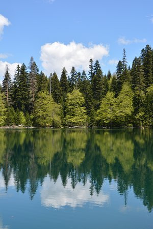 Zabojsko Lake-Mojkovac必去景点