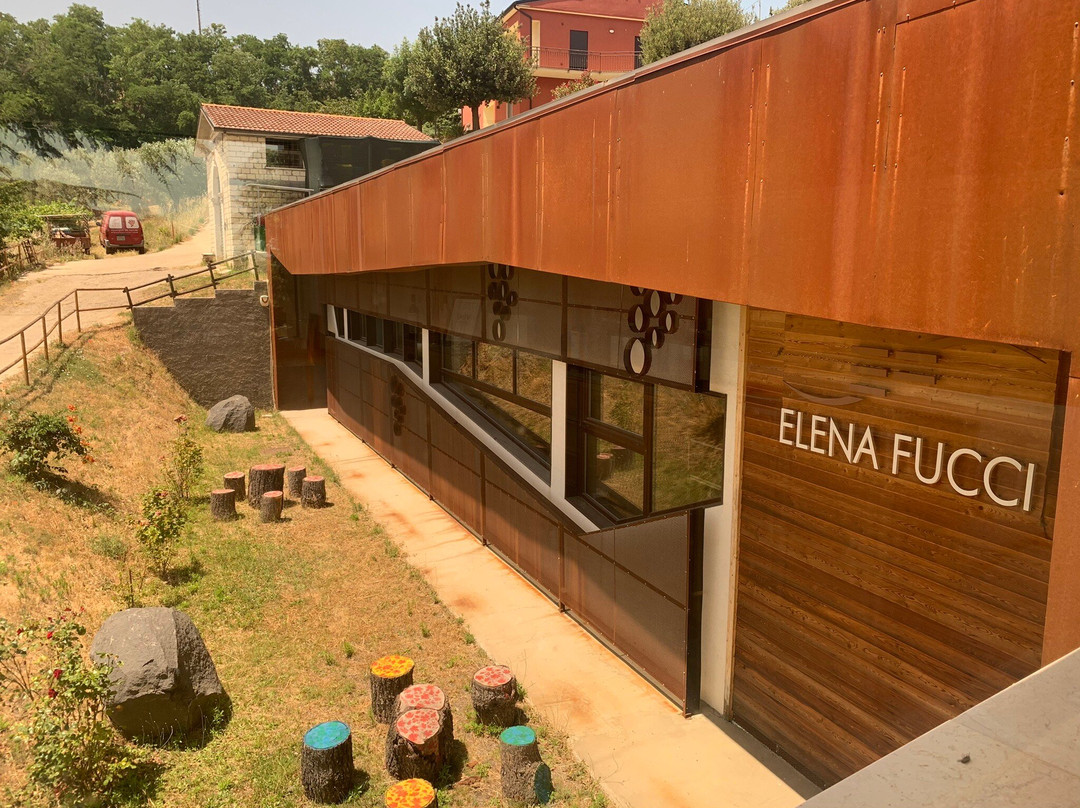 Azienda Agricola Elena Fucci景点图片