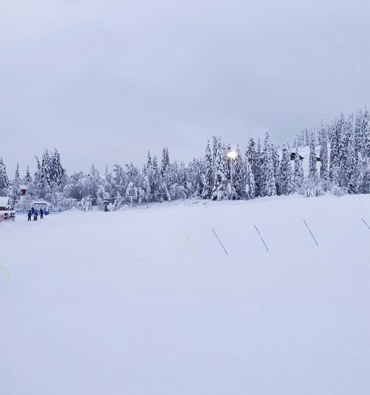 Borgafjällbackarna-Borgafjall必去景点