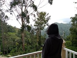 The Fortress Balumgala主图