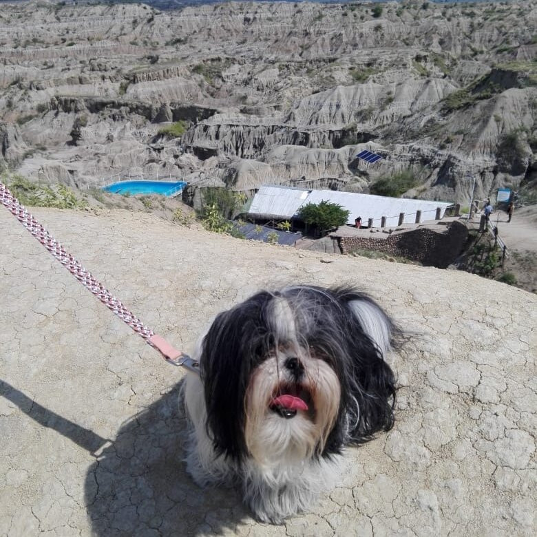 Desierto de la Tatacoa-Villavieja必去景点