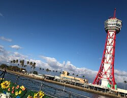 Hakata Port Tower景点图片