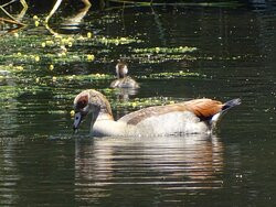 Leidam Bird Sanctuary-蒙提古必去景点