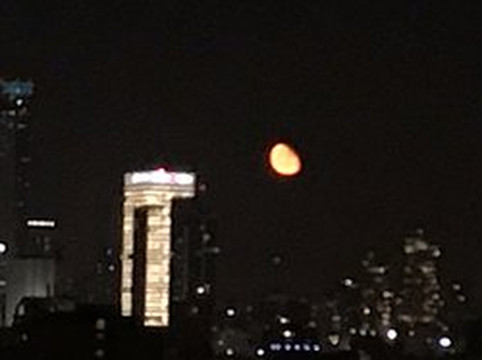 Israël Visite Guidée À La Carte Dans Tout Le Pays-耶路撒冷必去景点