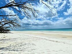 Tasman Venture - Day Tours-赫维湾必去景点