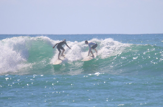 Monkey Adventures-圣特雷莎必去景点