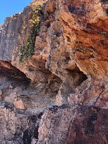 Long Reef Point-Collaroy Beach必去景点