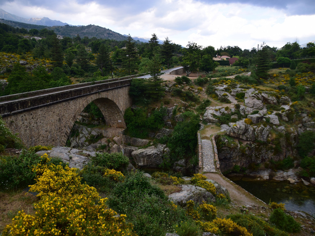 Ponte Altu景点图片