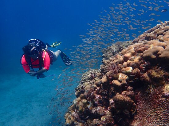 Letifish-Aventure-Pointe-Noire必去景点