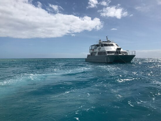 Cairns Premier Reef & Island Tours景点图片